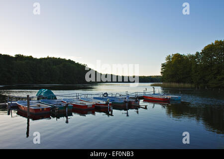 Landschaft am See in Deutschland. Stockfoto