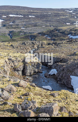 Islands Westfjorde Látrabjarg Halbinsel Stream am Lavafeld Stockfoto