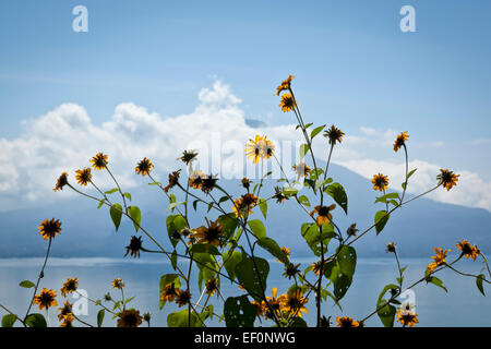 Blick auf Lake Atitlan in Guatemala Stockfoto