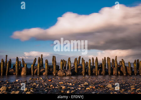 Buhnen am Ufer der Ostsee. Stockfoto