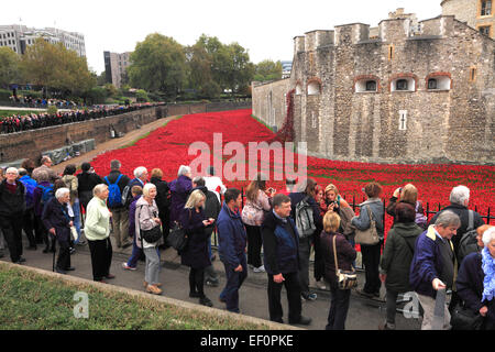 Keramik Mohn Blumen rund um das äußere des Tower of London, Nordufer, London City, England, UK Stockfoto