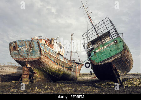 Schiffswracks, Camaret Sur Mer, Halbinsel Crozon, Finistere, Bretagne, Frankreich Stockfoto