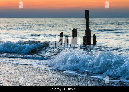 Buhnen am Ufer der Ostsee. Stockfoto