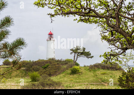 Leuchtturm auf der Insel Hiddensee (Deutschland) Stockfoto