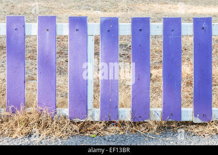 Violette Holzzaun des kleinen Gartens. Stockfoto