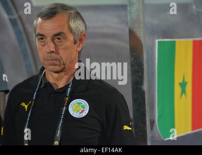 Äquatorial-Guinea. 23. Januar 2015. Afrikacup der Nationen Fußball. Südafrika vs. Senegal. Alain Giresse Manager von Senegal Team © Action Plus Sport/Alamy Live News Stockfoto