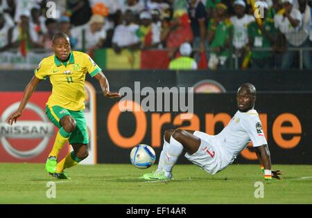 Äquatorial-Guinea. 23. Januar 2015. Afrikacup der Nationen Fußball. Südafrika vs. Senegal. Thabo Matlaba (AFS) herausgefordert von Moussa Sow (SEN) © Action Plus Sport/Alamy Live News Stockfoto