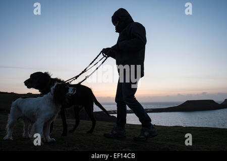 Dog Walker Silhouette mit zwei Hunden bei Sonnenuntergang an einem bitter kalten, sonnigen und windigen Tag des Wurms Kopf, Gower Halbinsel, Wales, UK. Stockfoto