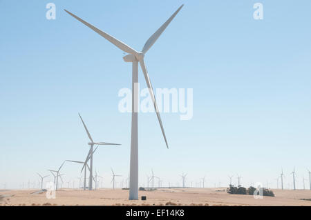 Turbinen am Windpark in der Nähe von Sacramento, Kalifornien, an einem heißen, wolkenlosen Tag. Stockfoto