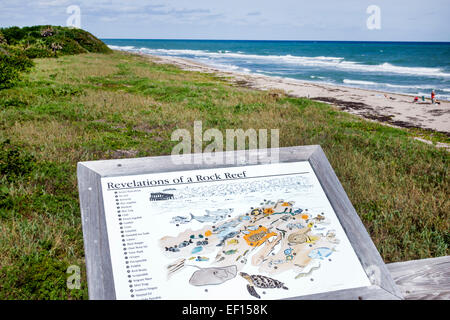 Riviera Beach Florida, North Palm Beach, John D. MacArthur Beach State Park, Kalksteinfelsenriff, Wasser, Natur, Surfen, Atlantischer Ozean, Strand, Sand, Schild, Informa Stockfoto