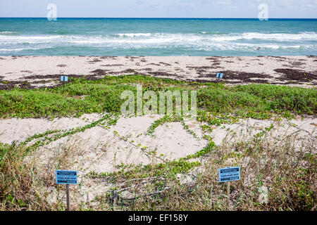 Riviera Beach Florida, North Palm Beach, John D. MacArthur Beach State Park, Wasser, Natur, Surfen, Atlantischer Ozean, Strand, Sand, Schild, nicht empfänglich Stockfoto