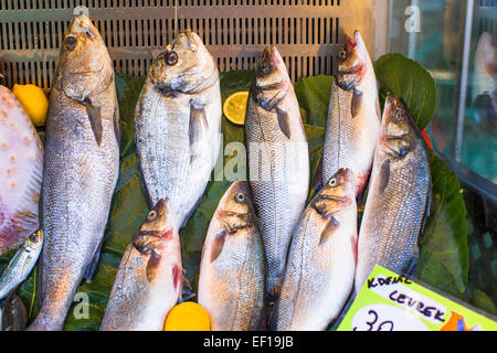 Fischmarkt mit frischen Fischen Stockfoto