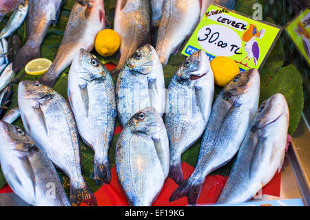 Fischmarkt mit frischen Fischen Stockfoto