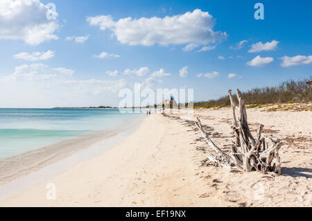 Schönen weißen Sandstrand und azurblauen Meer unter blauem Himmel mit weißen Wolken in Trinidad, Kuba mit Treibholz am Ufer Stockfoto