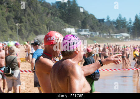 Sydney, Australien. 25. Januar 2015. Dies ist das 41. Ozean Schwimmen Rennen von Palm Beach Pavillion ins Zentrum von Whale Beach, Sydney Stockfoto