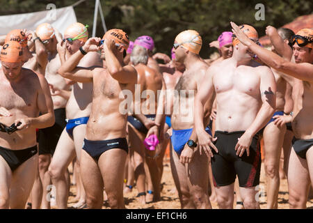 Sydney, Australien. 25. Januar 2015. Dies ist das Schwimmrennen 41. vom Palm Beach Pavillion zum Zentrum von Whale Beach, Sydney. Männliche Schwimmer bereiten sich auf den Beginn des Schwimmrennen für Männer vor Stockfoto