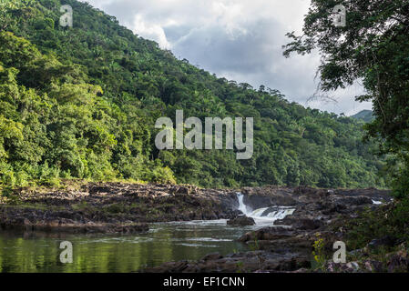 Vaca fällt auf den Macal Fluss, der durch den üppigen Dschungel von Belize, Mittelamerika. Stockfoto