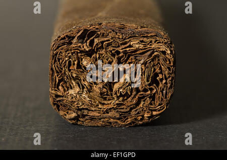 Perfekt gerollt Zigarre aus Miami, Florida. Schwarzer Hintergrund. Stockfoto