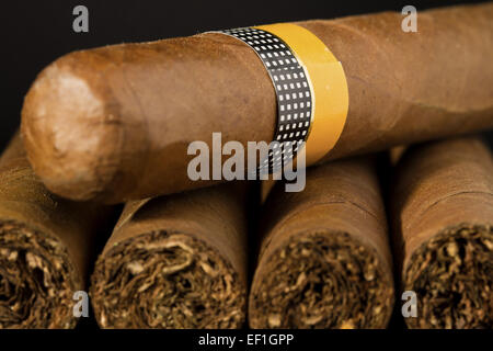 Ein Stapel von exklusiven kubanischen Zigarren auf schwarzem Hintergrund. Stockfoto