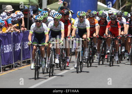 Adelaide, Australien. 25. Januar 2015. Team Orica Greenedge mit dem BMC Racing Team führt das Hauptfeld in Stufe 6 Stadtkurs der Santos Tour Down Under am 25. Januar 2015 in Adelaide, Australien. Bildnachweis: Peter Mundy/Alamy Live-Nachrichten Stockfoto