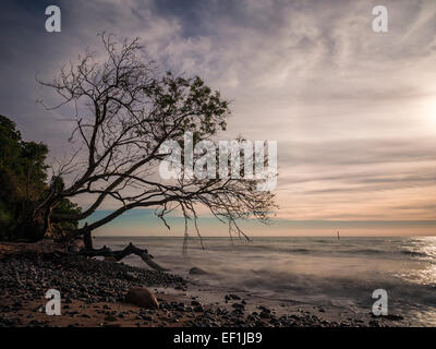 Am Ufer der Ostsee auf der Insel Rügen (Deutschland) Stockfoto
