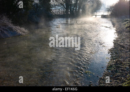 Frost an einem Wintermorgen neben dem Flüsschen Bourne, einem Nebenfluss des Flusses Tests auf St Mary Bourne, Hampshire, UK Stockfoto