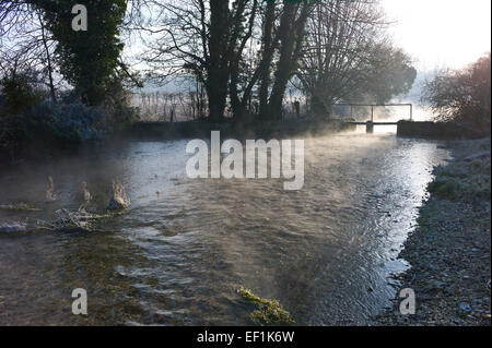 Frost an einem Wintermorgen neben dem Flüsschen Bourne, einem Nebenfluss des Flusses Tests auf St Mary Bourne, Hampshire, UK Stockfoto