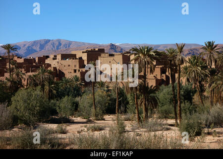 Alte Häuser in Tinghir, Todra-Tal, Marokko Stockfoto