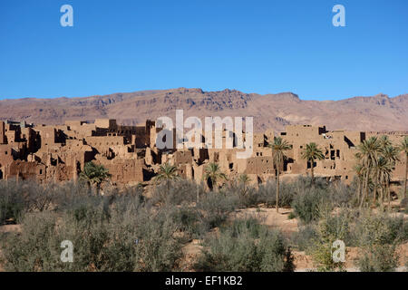 Alte Häuser in Tinghir, Todra-Tal, Marokko Stockfoto