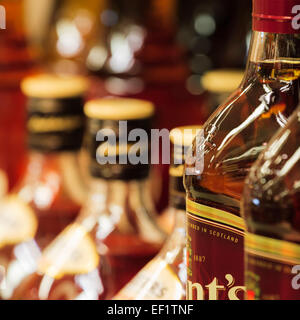 Scotch Stockfoto