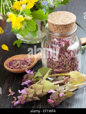 Glasflasche mit Holzlöffel, Kräutermedizin, heilende Kräuter und gesunde Blumen Stockfoto