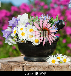 schwarzer Mörtel mit heilenden Kräutern im Garten, pflanzliche Medizin Stockfoto