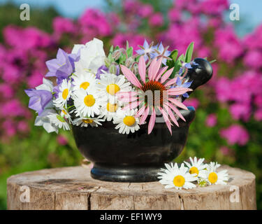 Mörtel mit heilenden Kräutern im Garten, pflanzliche Medizin Stockfoto