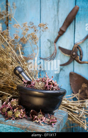 schwarzer Mörtel mit getrockneten Heilkräutern und Gartengeräte im freien Stockfoto