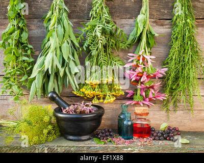 Trauben von Heilkräutern auf Holzwand, Mörtel mit getrockneten Pflanzen und Flaschen, Kräutermedizin Stockfoto