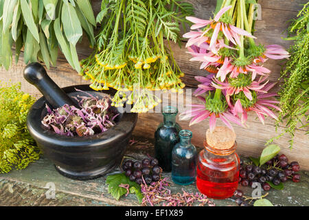 Trauben von Heilkräutern auf Holzwand, Mörtel mit getrockneten Pflanzen und Glasflaschen, Kräutermedizin Stockfoto