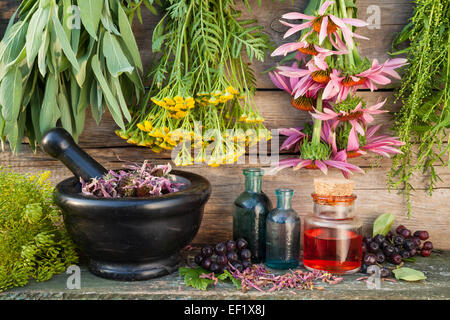 Trauben von Heilkräutern auf Holzwand, Mörtel, Flaschen und Beeren, Kräutermedizin Stockfoto