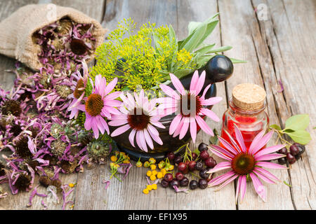 Sonnenhut und Dill in Mörtel, Fläschchen mit ätherische Öl auf Holzplatte, Kräutermedizin Stockfoto