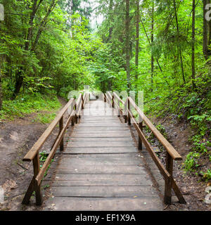 Holztreppe zum Wald, Naturlehrpfad im Naturschutzgebiet in Stockfoto