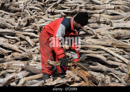 Herat. 25. Januar 2015. Ein afghanischer Mann arbeitet in einem Holz-Shop in der Provinz Herat in Westafghanistan, 25. Januar 2015. © Sardar/Xinhua/Alamy Live-Nachrichten Stockfoto