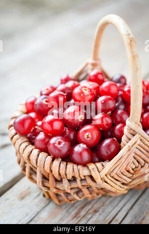 Frische rote Cranberries in Korb auf alten Tisch Stockfoto