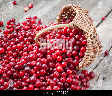 Frische rote Cranberries und Beeren im Korb auf alten rustikalen Tisch Stockfoto