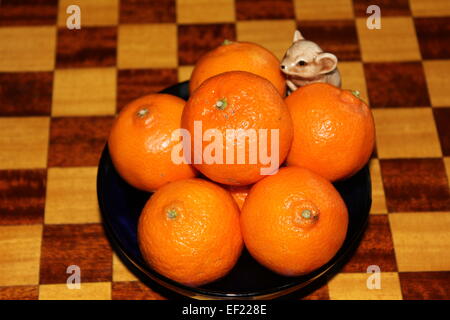 Orangen & eine Maus in eine blaue Schale auf einem Schachbrett angezeigt Stockfoto