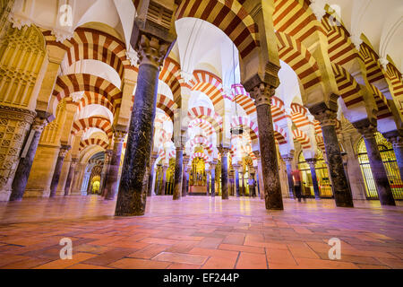 Säulenhalle in der Moschee-Kathedrale von Córdoba. Die Website hat eine reiche religiöse Geschichte und ist derzeit eine aktive Kathedrale. Stockfoto