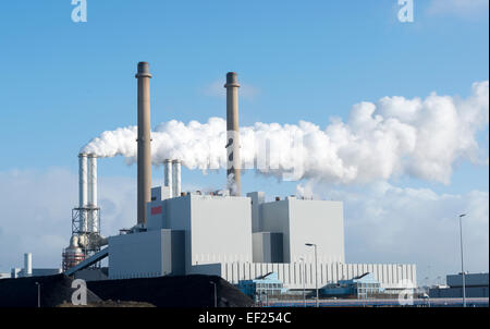 Verschmutzung durch Kraftwerk auf der zweiten Maasvlakte das neue Industriegebiet in den Niederlanden Stockfoto