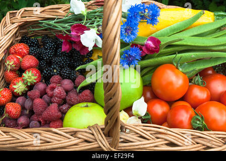 Weidenkorb Sommer Obst und Gemüse wie Tomaten, Bohnen, Zucchini, Beeren Äpfel und Blumen. Stockfoto