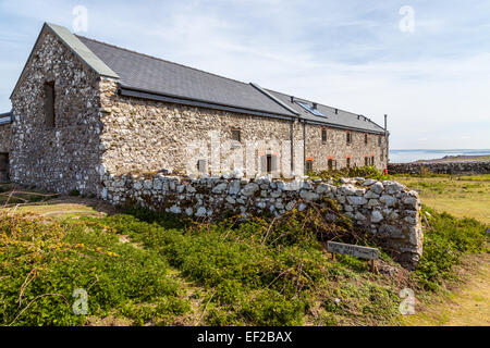 Skomer Island Stockfoto