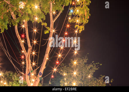 Birnen am Baum, beleuchtete Dekoration von Bäumen in der Nacht / Weihnachtsdekoration / Neujahr Dekoration Stockfoto