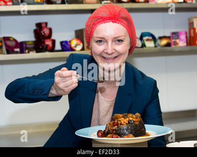 Elizabeth Truss, Mitglied des Parlaments, besuchen die Mathew Walker Factory, die Christmas Pudding machen. Stockfoto