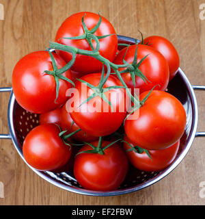 Tomaten in eine Schüssel trocknen. Stockfoto